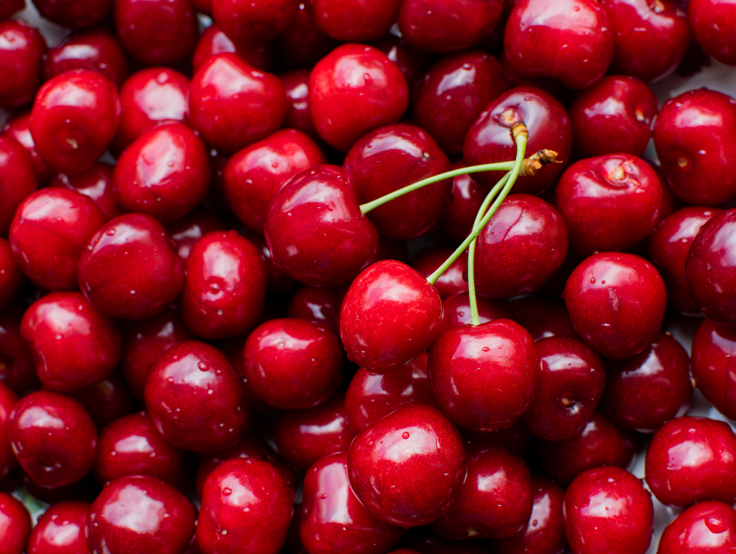 Lot de 12 gelées à la cerise 85G - BLUE MILL