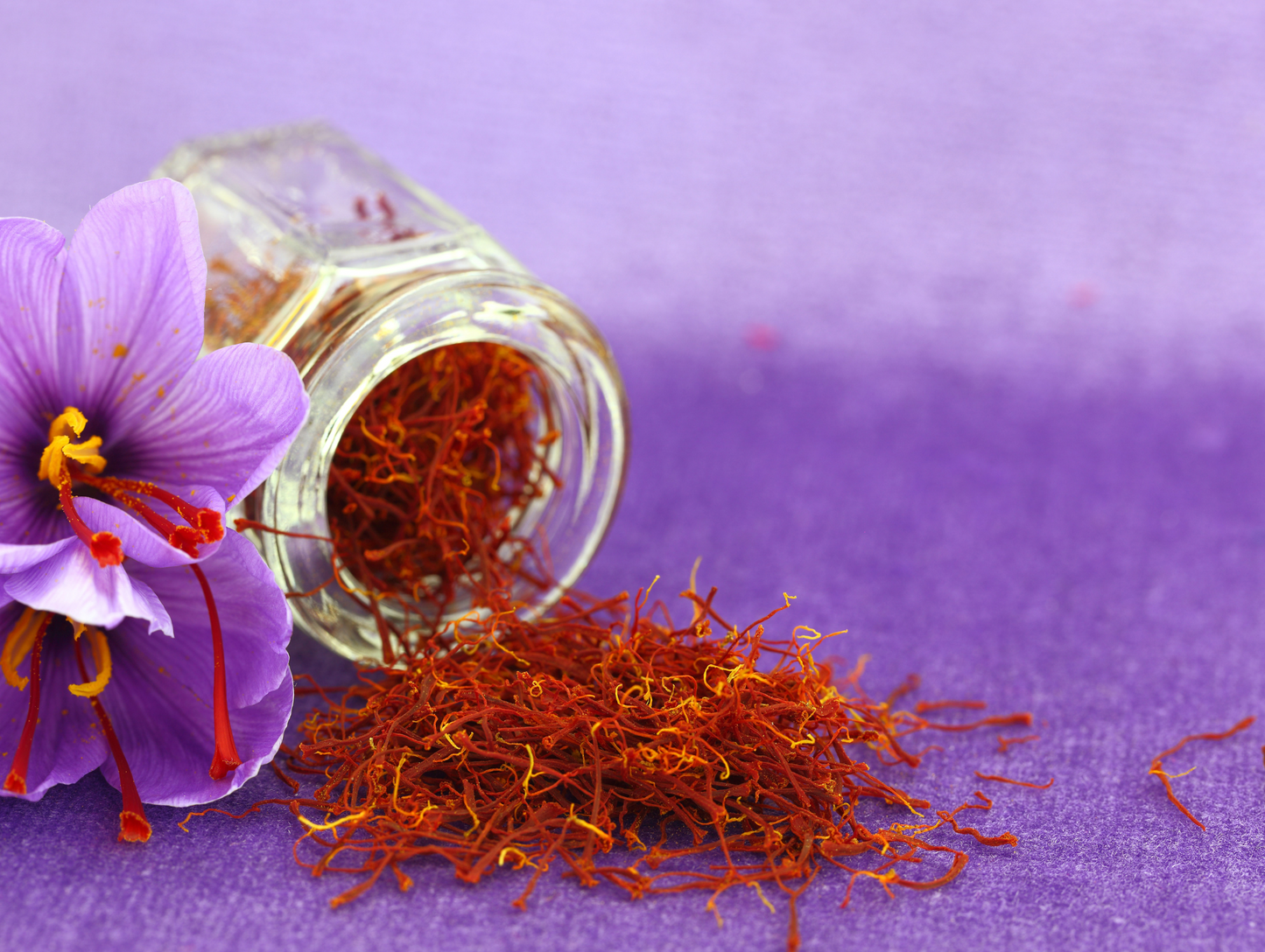 Sachet de 1G de safran - AFTAB SHIRIN
