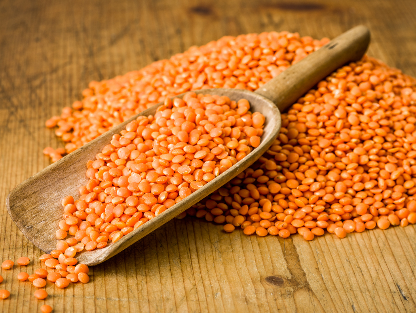 Lot de 6 lentilles rouge 1KG - SERA