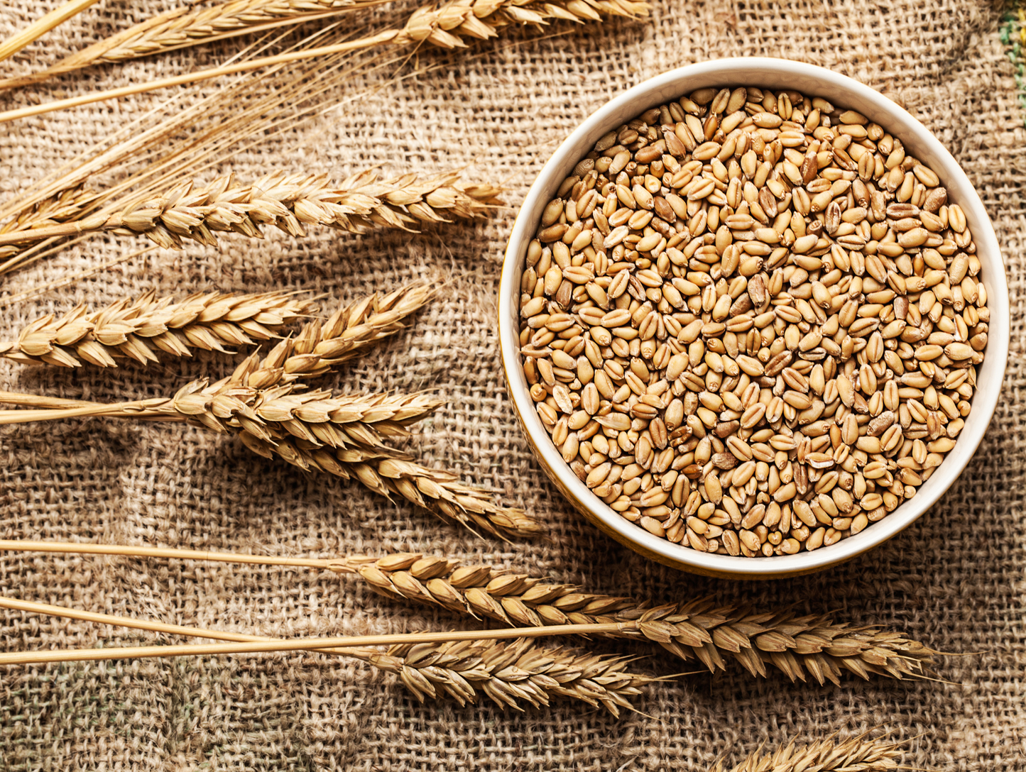 Lot de 6 sachets de blé pelé 1KG - SERA