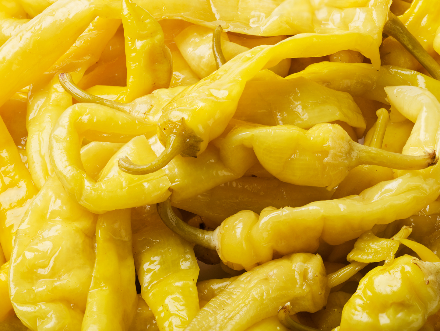 Lot de 12 petits piments marinés 300G - LARA