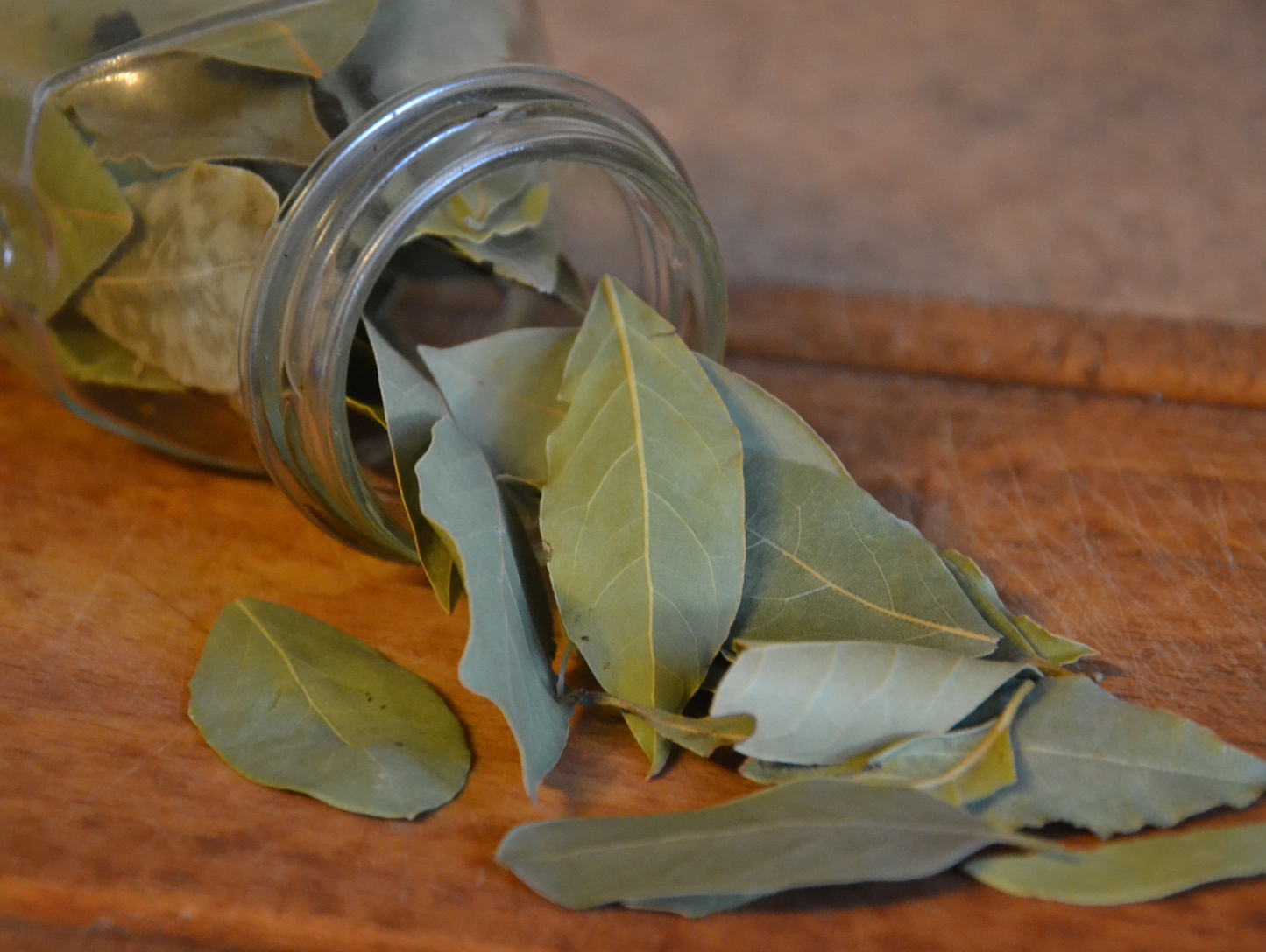 Feuilles de laurier 50G - ABIDO