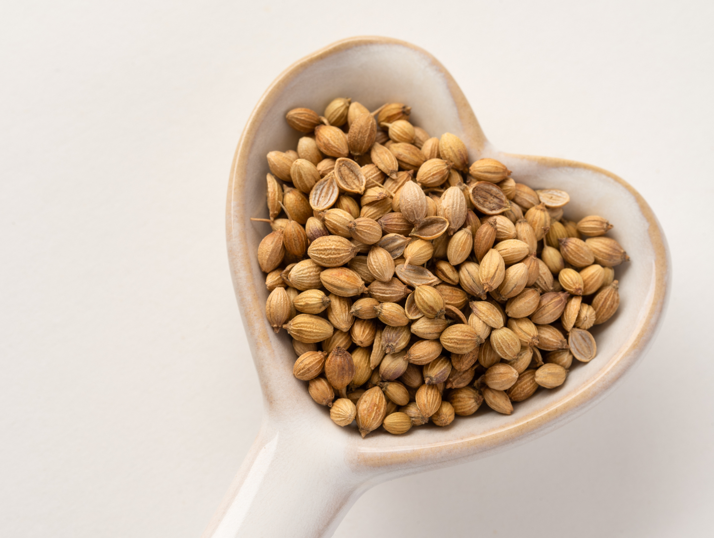 Graines de coriandre 30G - ABIDO