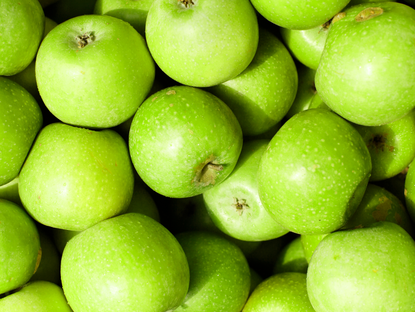Lot de 12 gelées à la pomme verte 85G - BLUE MILL