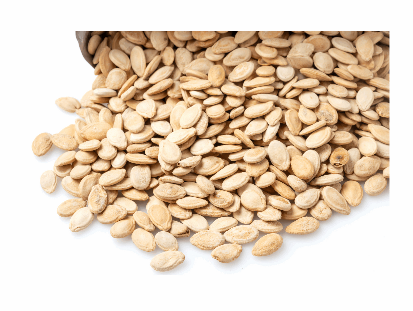 Lot de graines salées extra gros calibre 300G - AL SAMIR