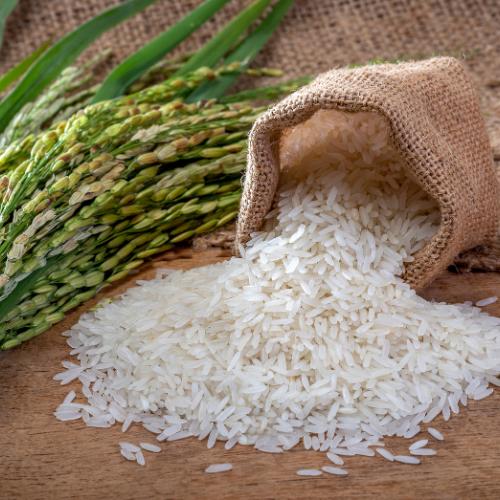 Riz