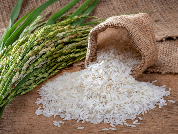 Riz