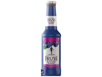 Lot de 6 bouteilles de boisson gazeuse aux myrtilles 250ML - FRIZBI