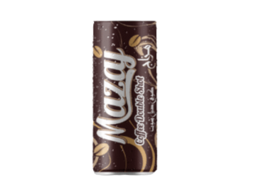 Café glacé double shot  250ML x 24 - MAZAJ
