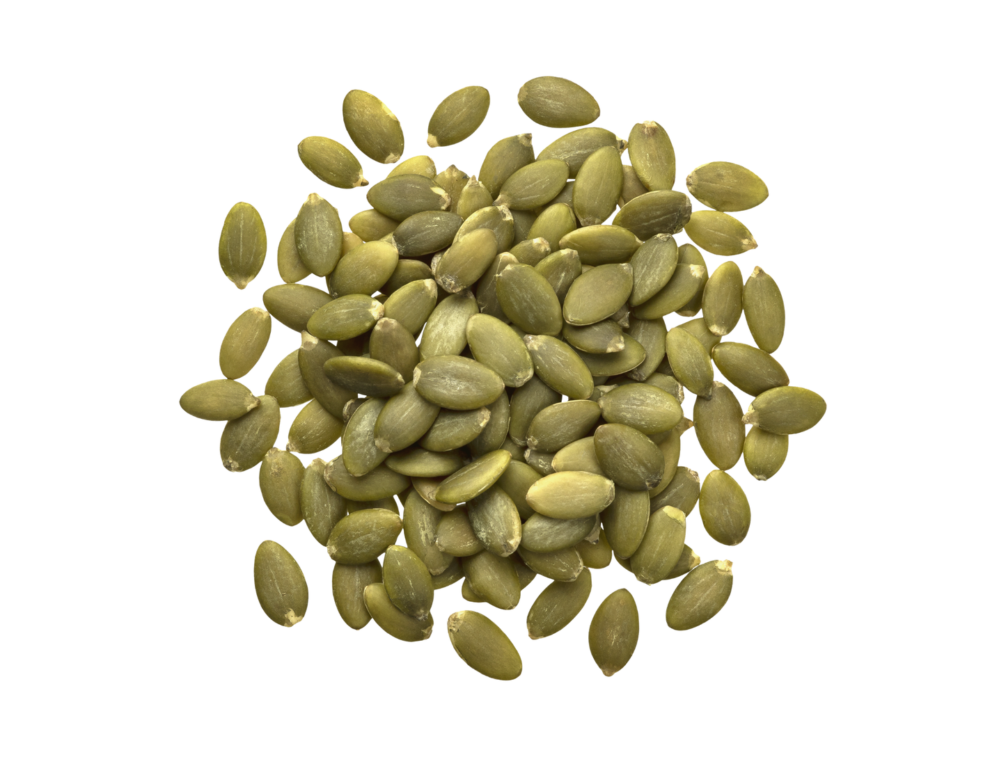 Lot de 12 sachets de graines de citrouilles 250G - AL FAKHR