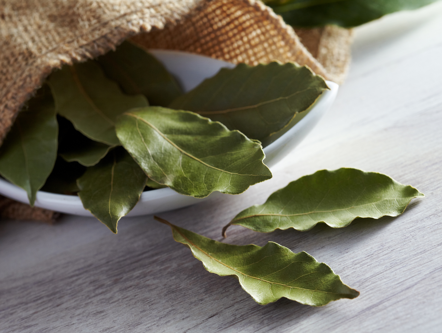 Feuilles de laurier 50G - ABIDO