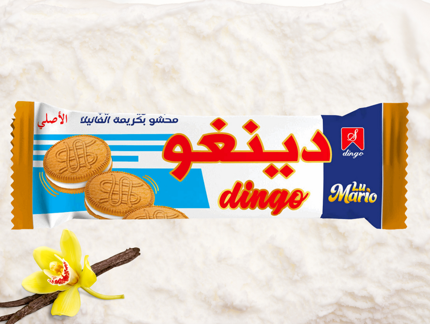 Paquet de 300G de biscuits - DINGO