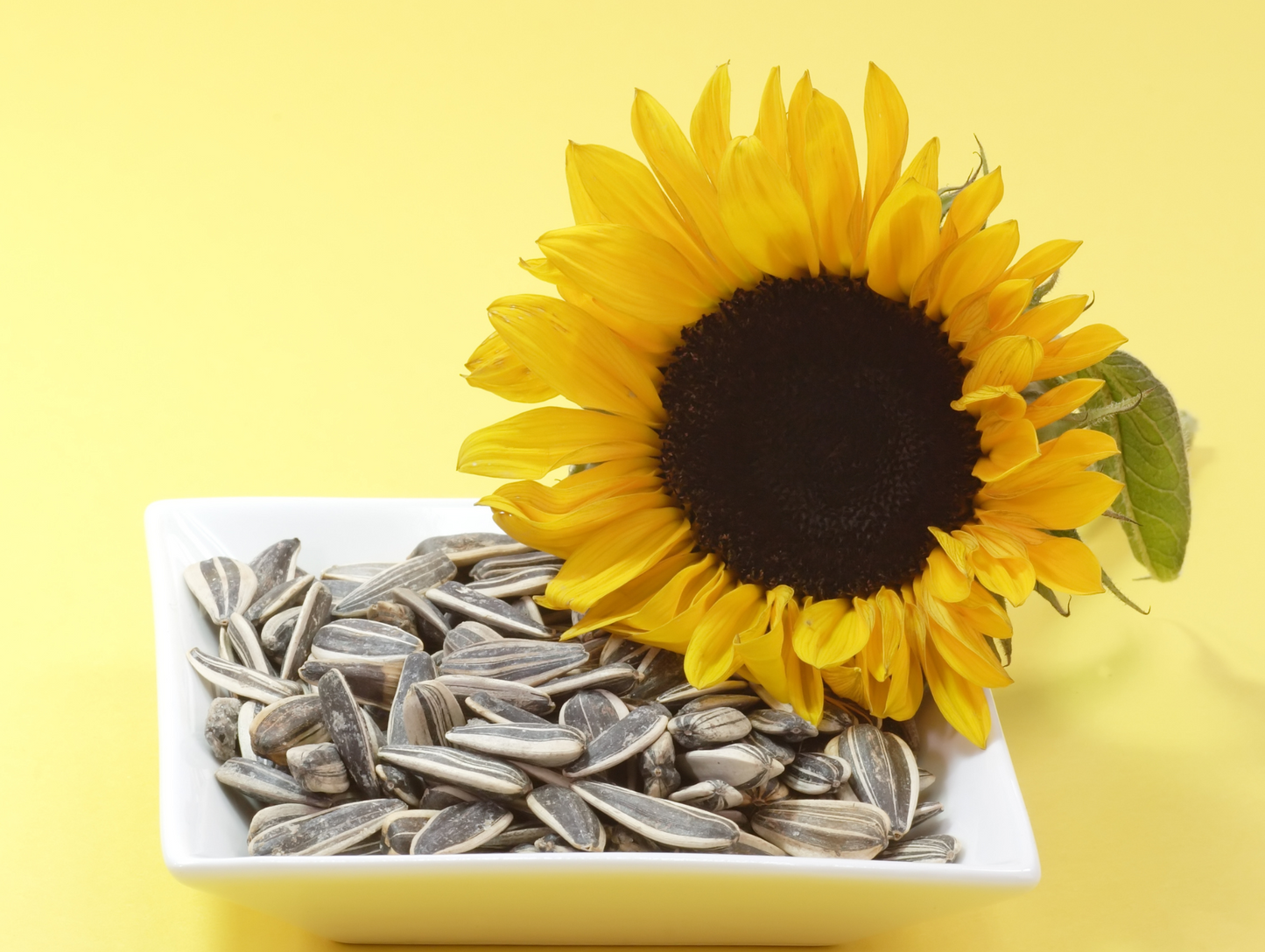 Graines de tournesol salées 250G - AL AMIRA
