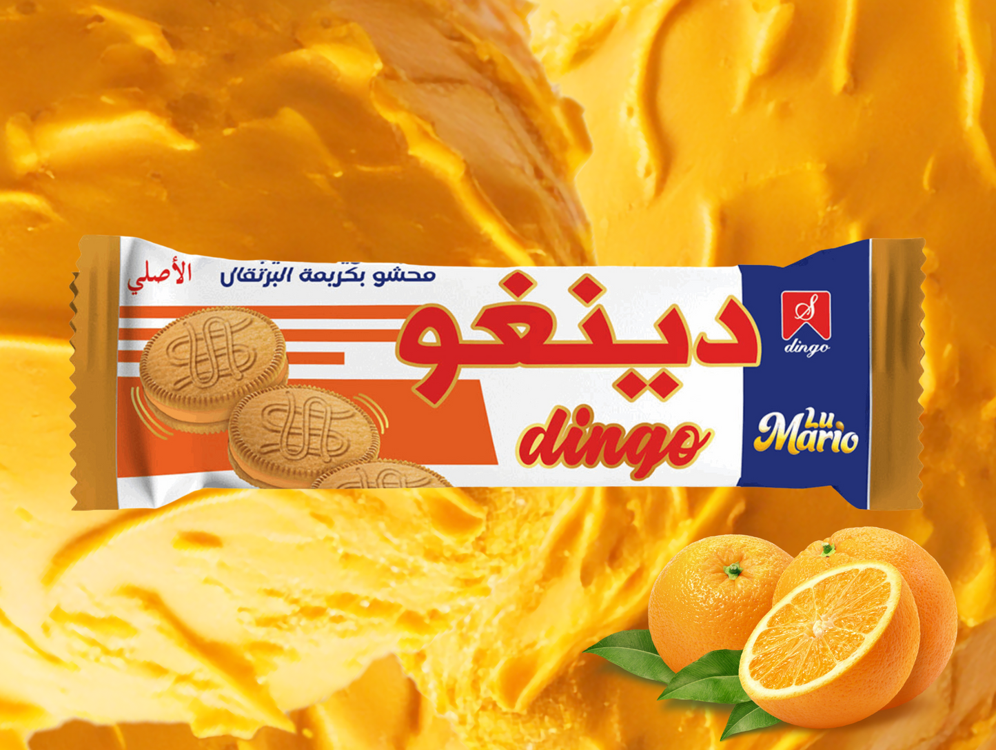 Paquet de 300G de biscuits - DINGO