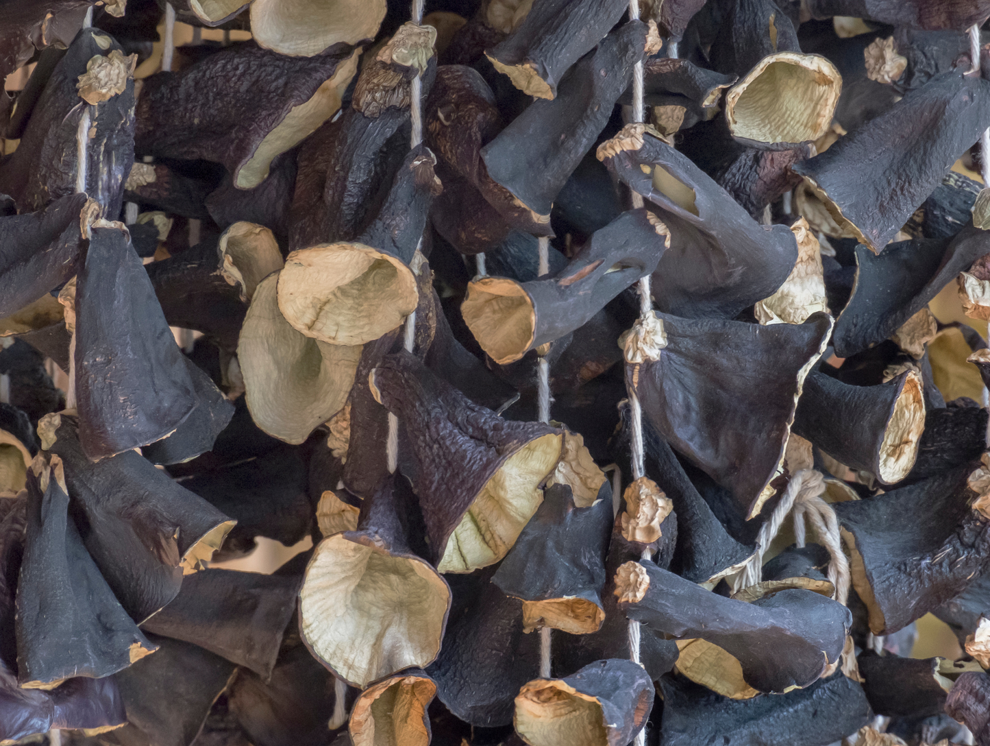 Lot de 12 boîtes d'aubergines séchées 75G - ALGOTA