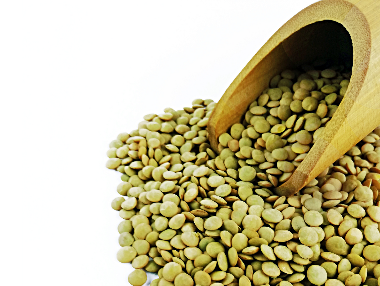 Lentilles 900G - ALTUNSA
