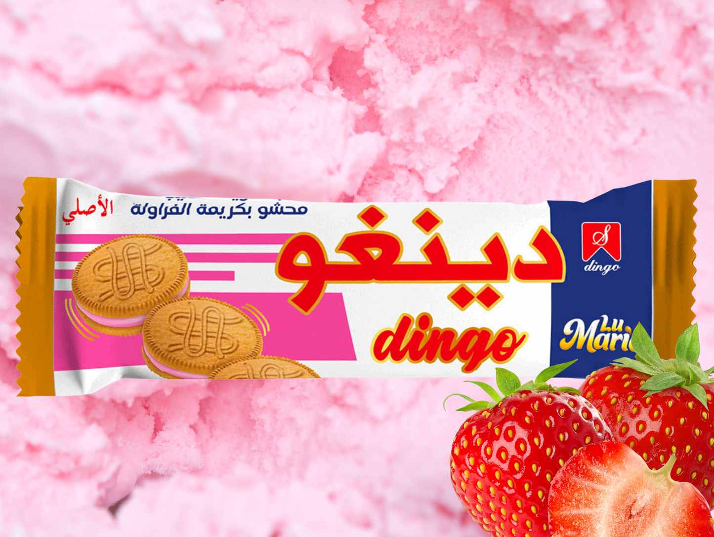 Paquet de 300G de biscuits - DINGO