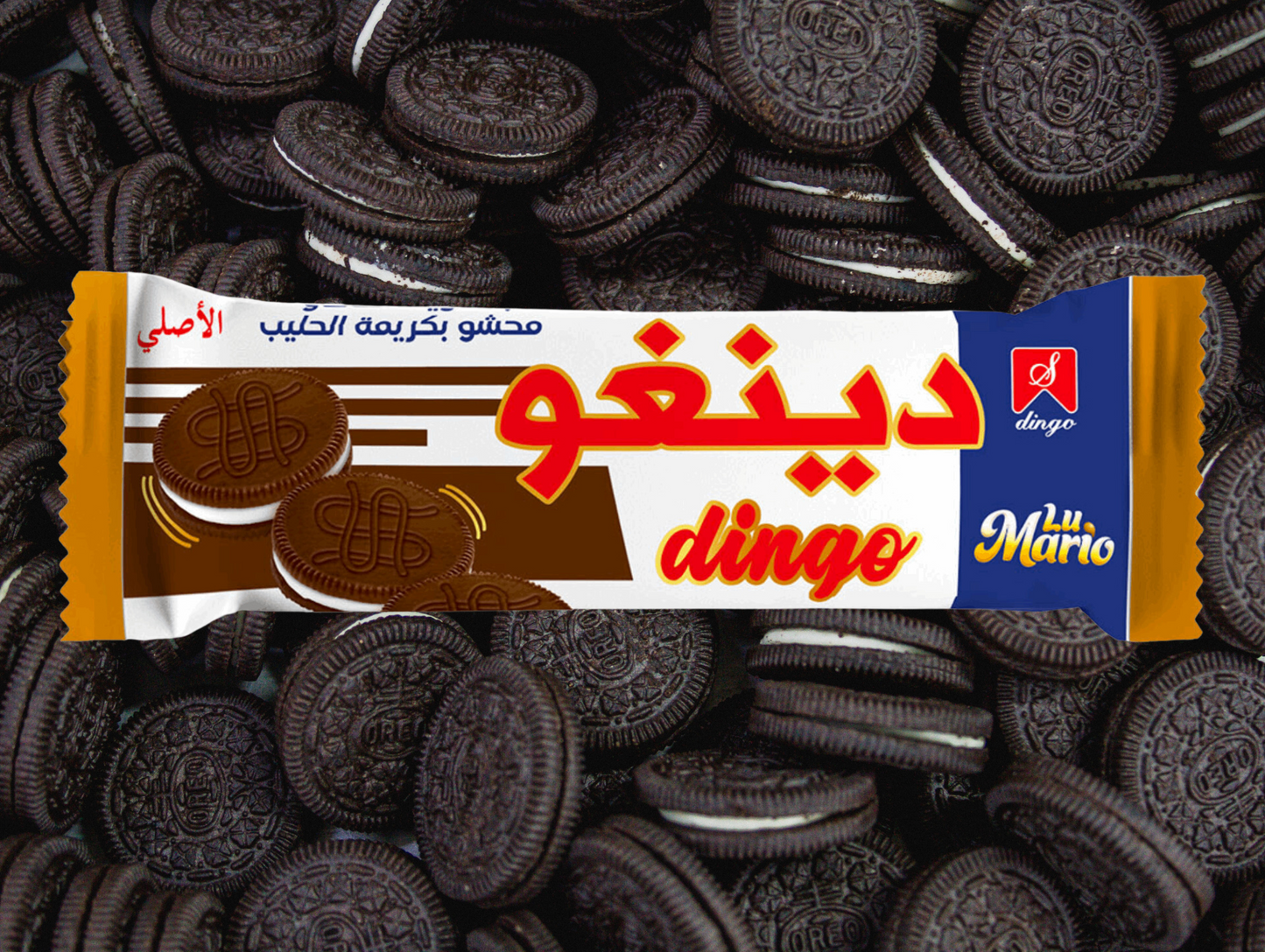 Paquet de 300G de biscuits - DINGO