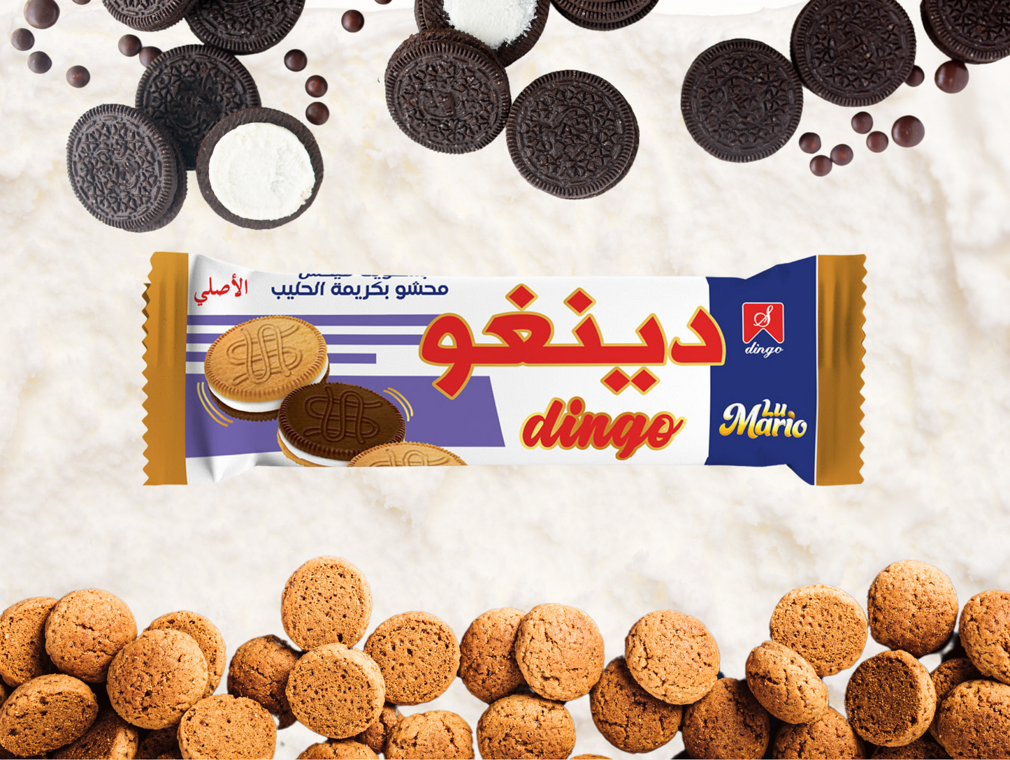 Paquet de 300G de biscuits - DINGO